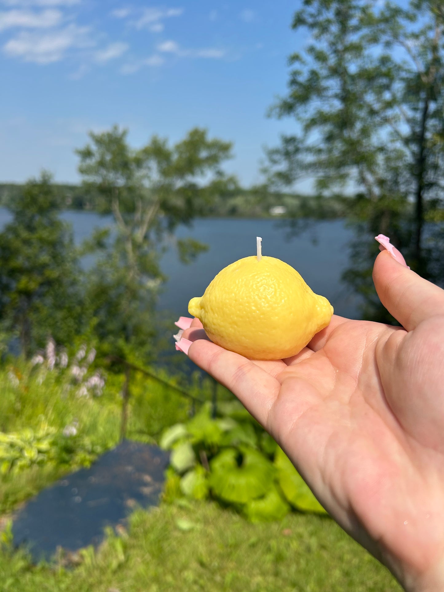 Citron frais đ