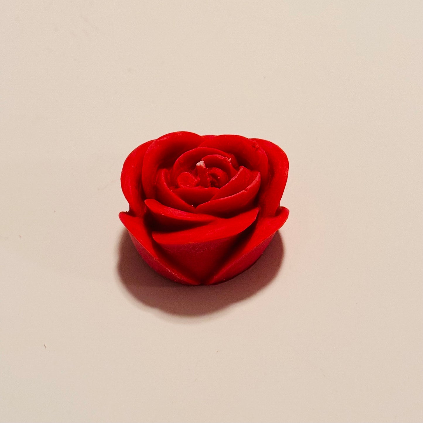 Rose 🌹
