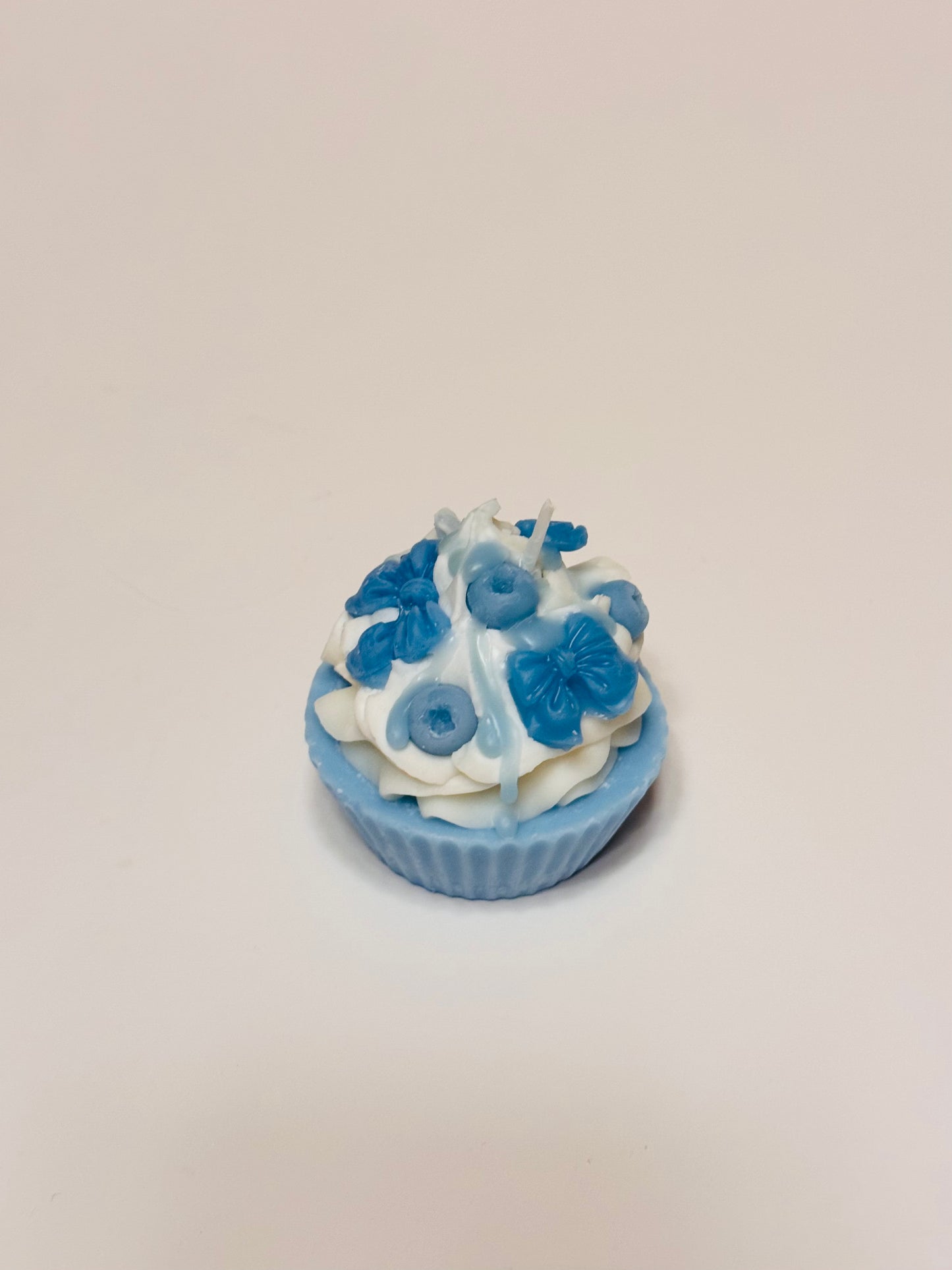 Blueberry Cupcake 🫐 
